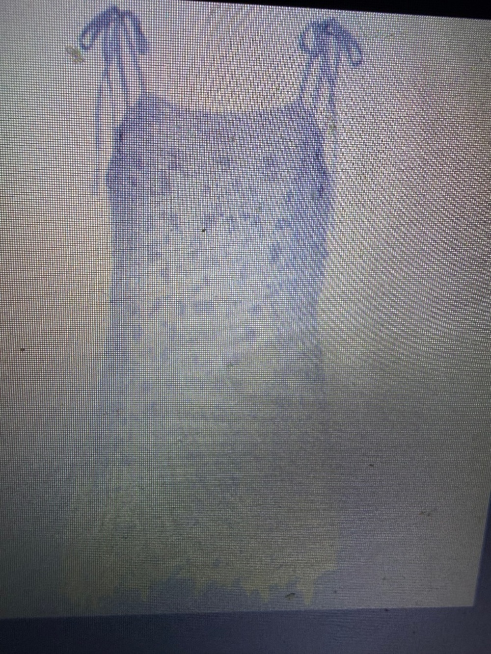 Venus Star Lace Cover Up Dress